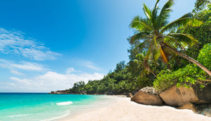 Caribbean 16 Countries
