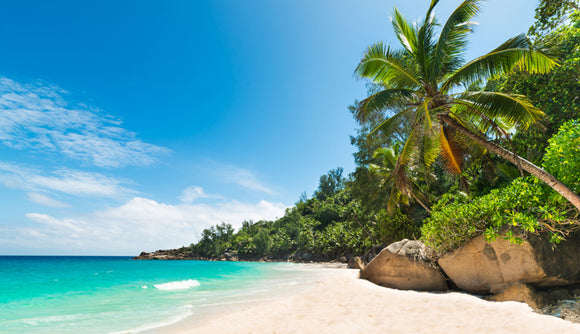 Caribbean 16 Countries